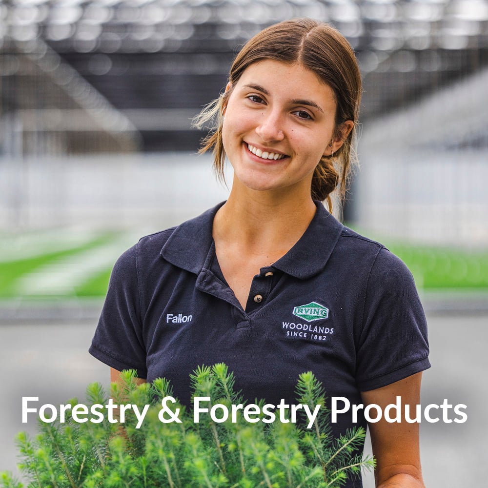 Forestry-and-Forestry-Products2.jpg
