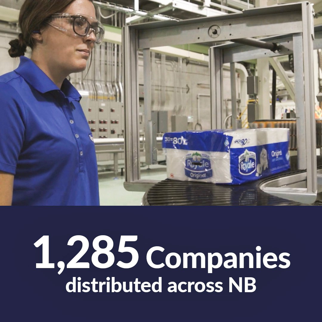 1,285 Companies – distributed across NB
