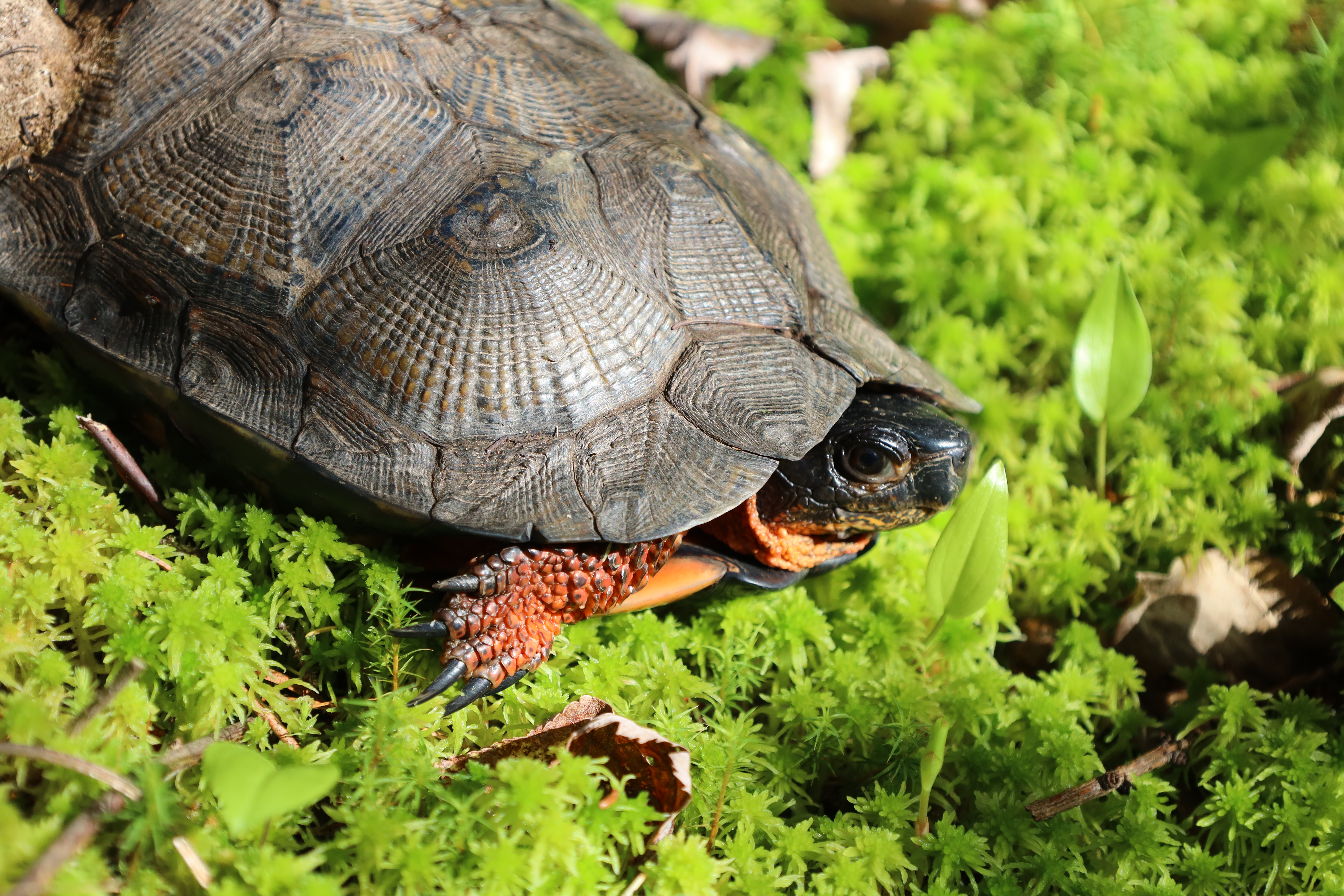 0W0A5573 (1) (1).JPG