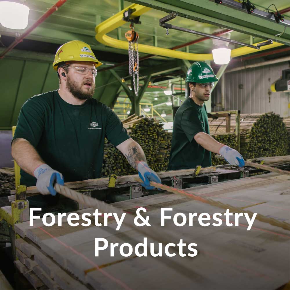 Forestry-and-Forestry-Products2.jpg