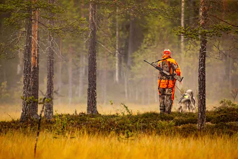 Scenic view of a hunter in the woods