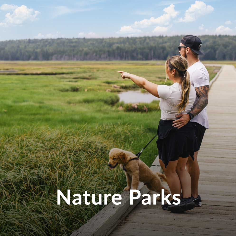 Man and woman enjoying a walk on a boardwalk with their dog