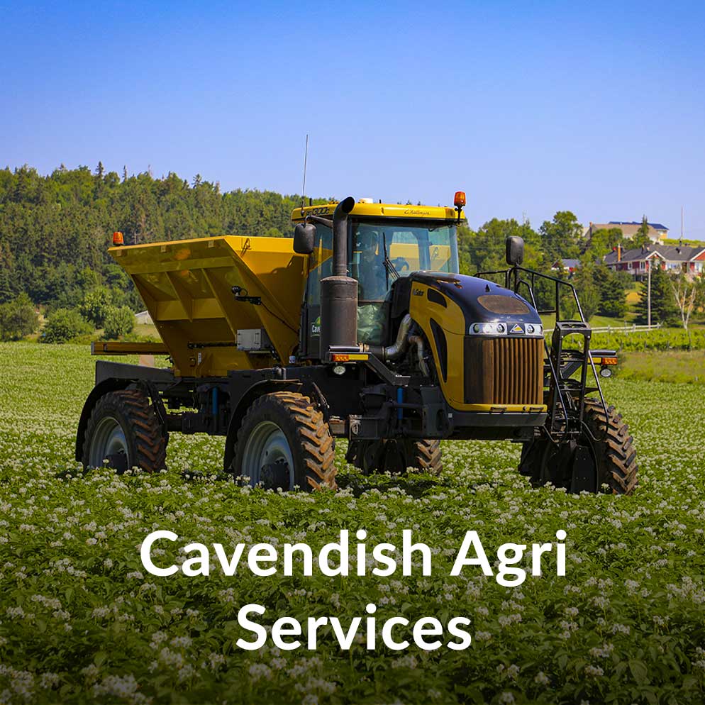 Cavendish Agri Services