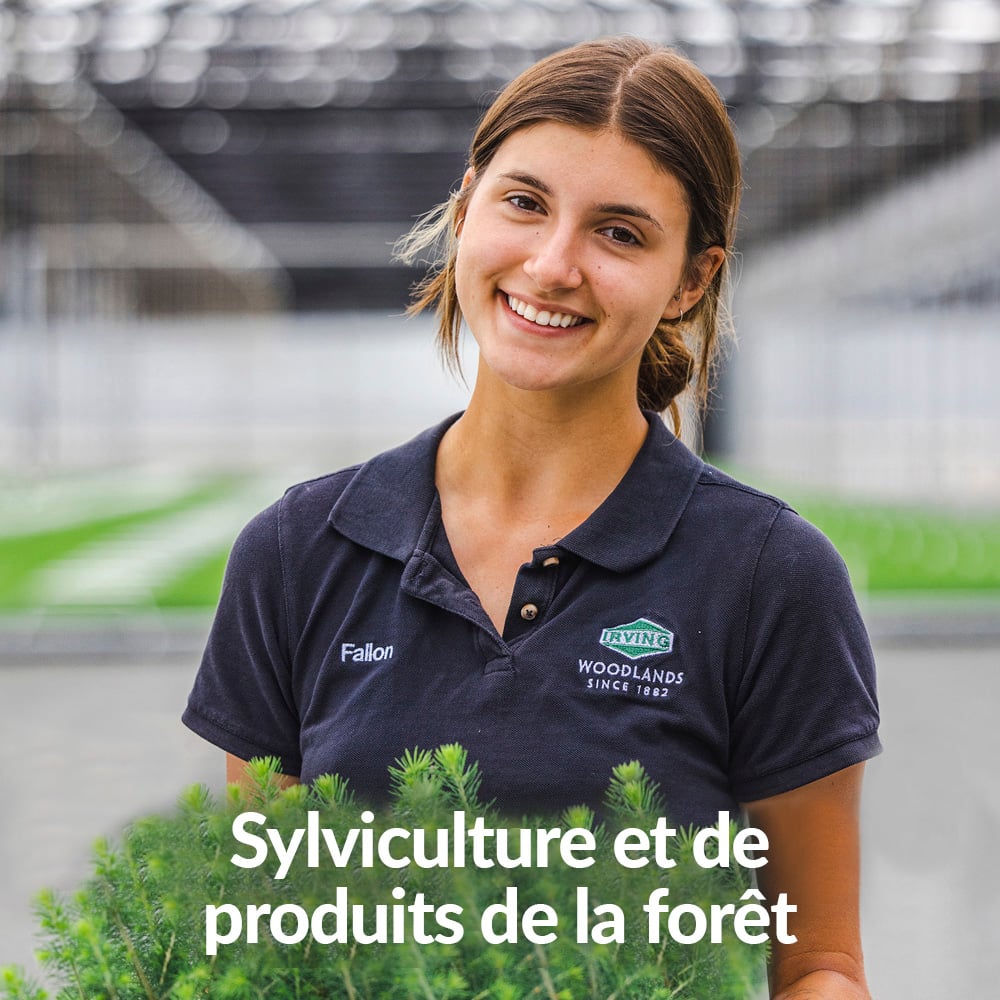 Forestry-and-Forestry-Products2.jpg