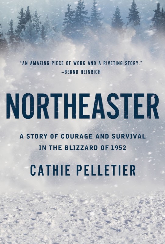 Northeaster cover1.jpg