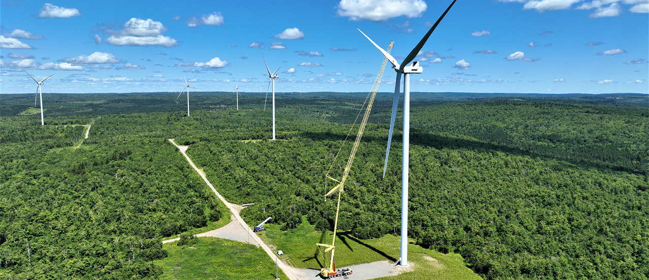 CED - IEQ - 2024 - Q1 - Newsroom - National Renewable Energy Day (1,278 x 551).jpg
