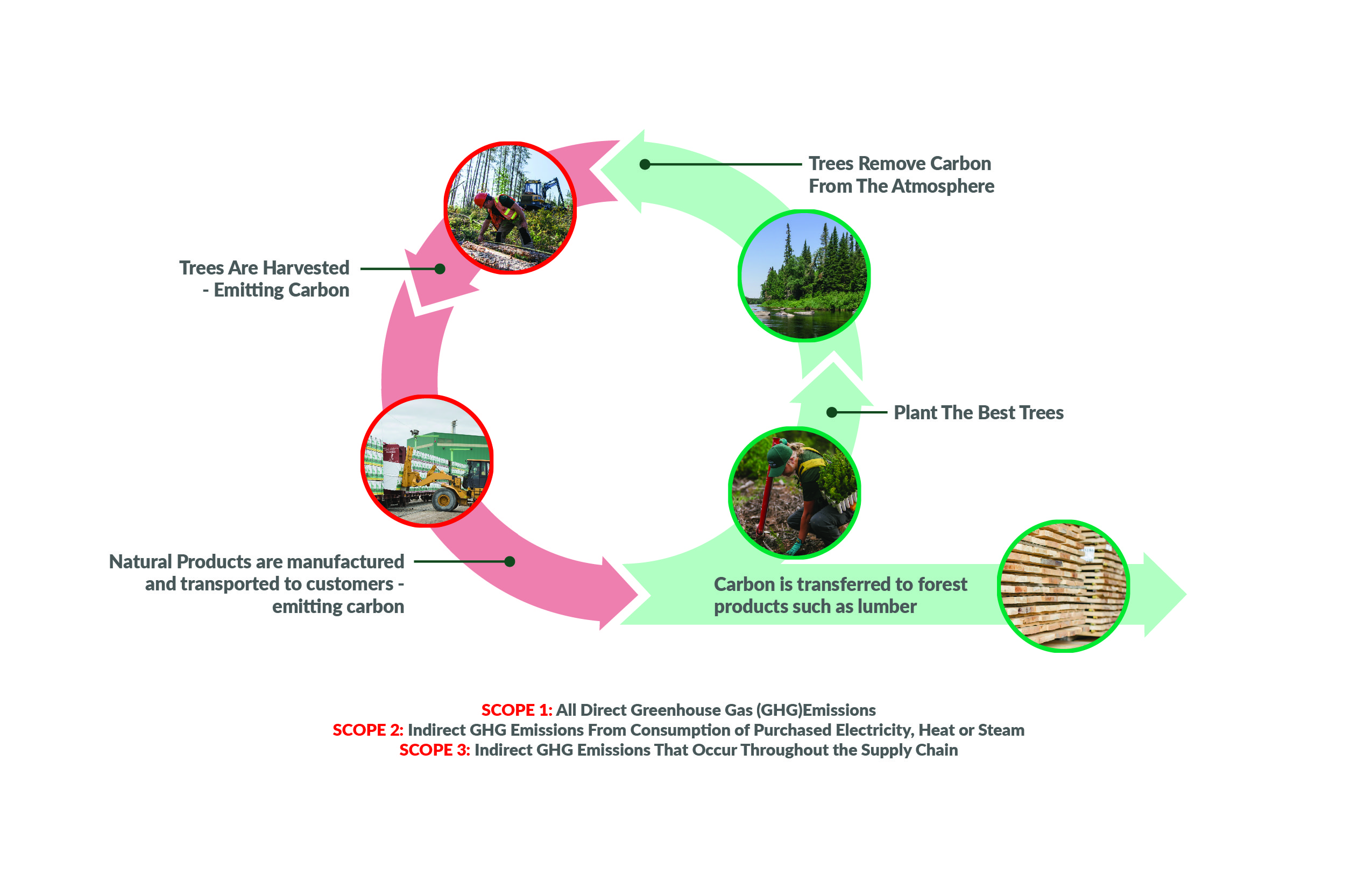 WDLS - Carbon Neutral Infographics - 11x17-01.jpg