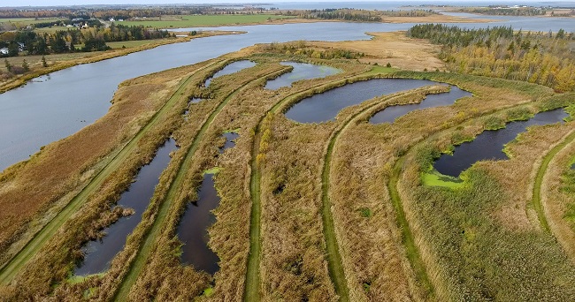 Cavendish Farms' Artificial Wetlands.jpeg