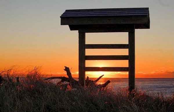 Sunsets-at-Irving-Nture-Park.jpg