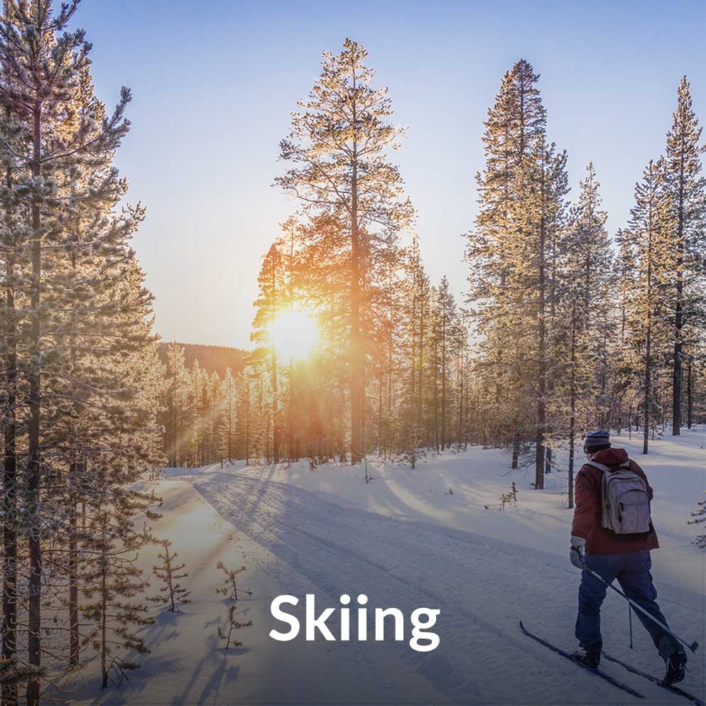 icon-CTA-skiing.jpg
