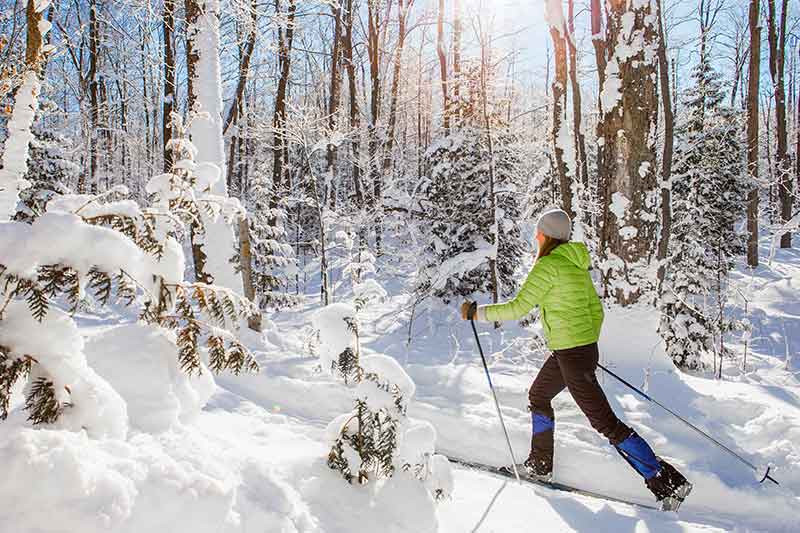 Woman cross-country skiing through a snowy forest